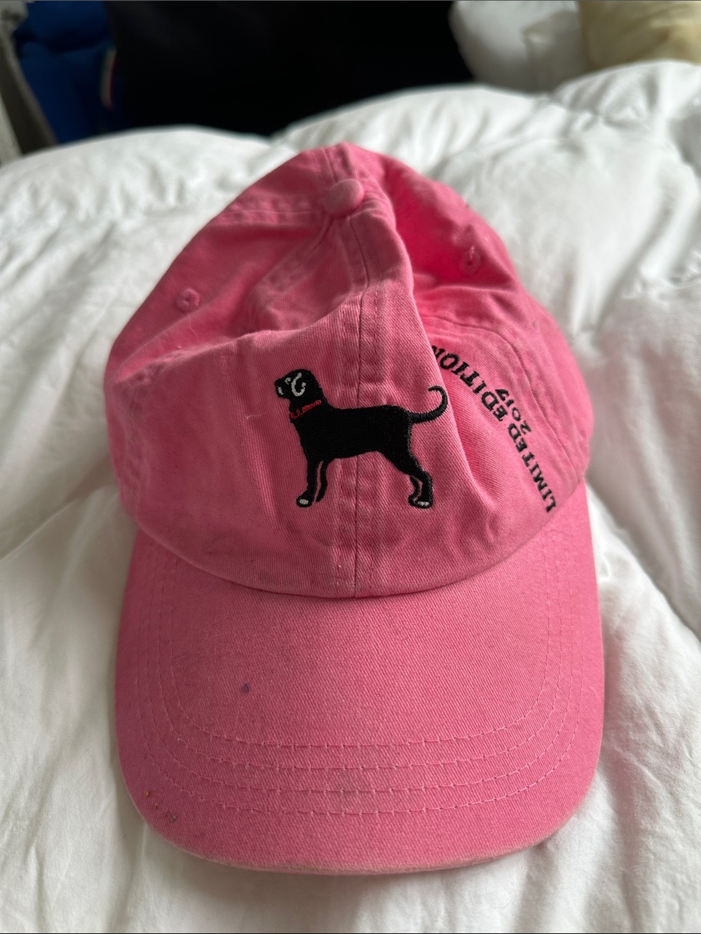 The Black Dog Pink Baseball Cap with Black Dog Embroidery